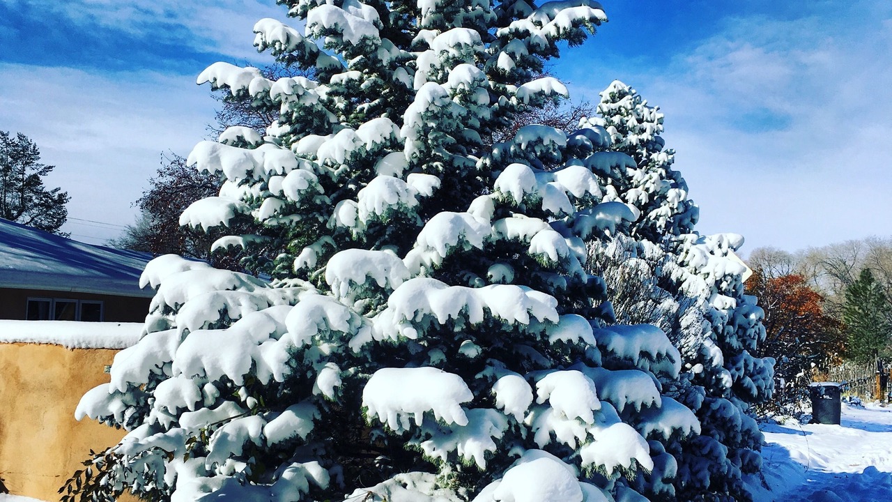 Photo of Outdoor in Taos