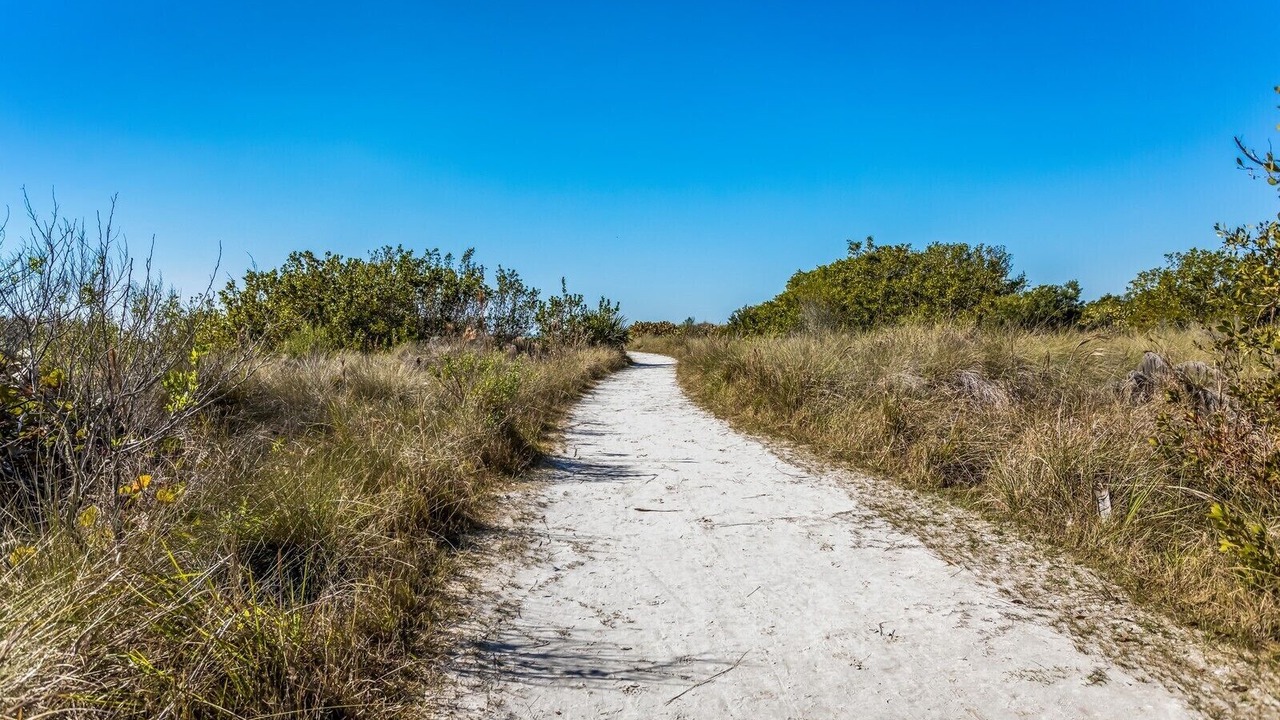 Photo of Others in Siesta Key