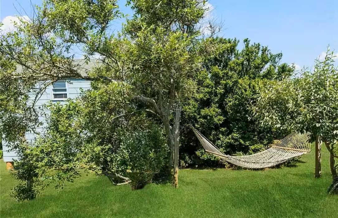 Photo of Outdoor in New Shoreham