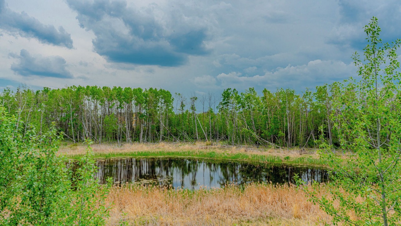 Photo of Outdoor in Calgary