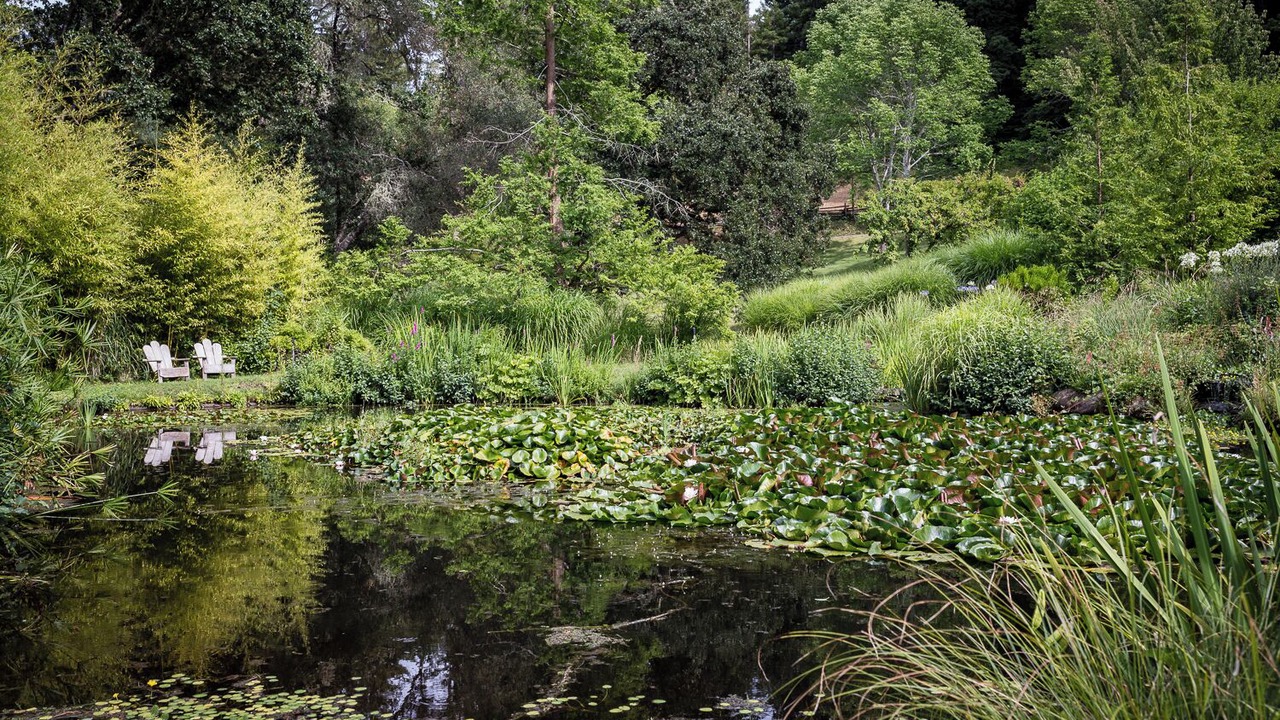 Photo of Outdoor in Anderson Valley
