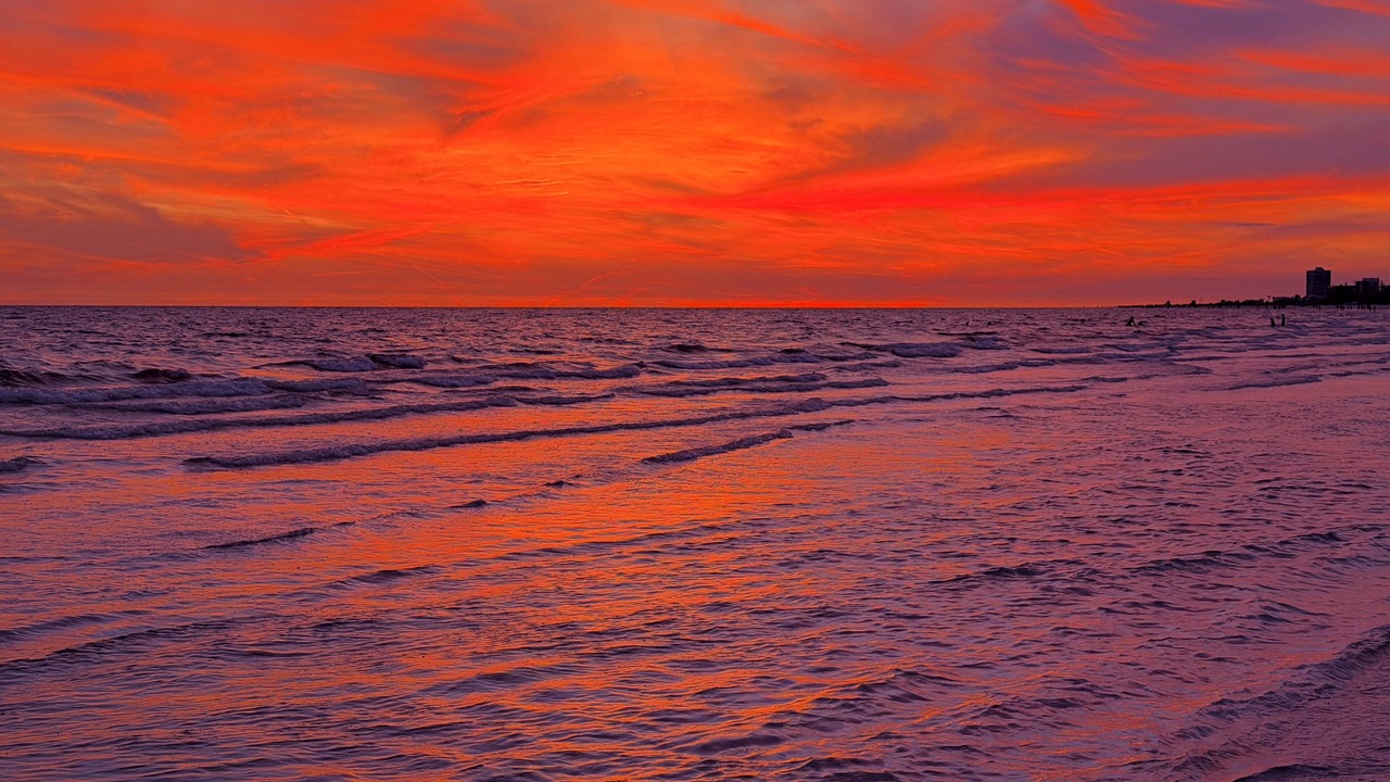 Photo of Others in Siesta Key