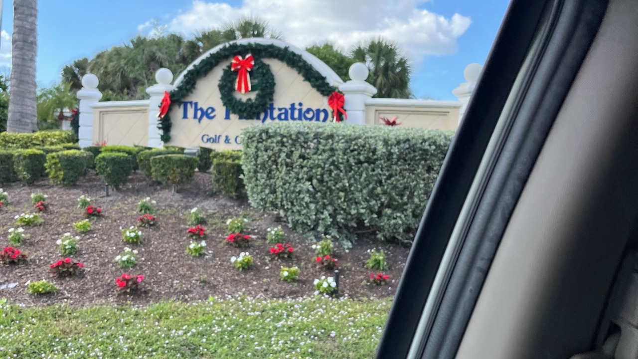 Photo of Others in Plantation