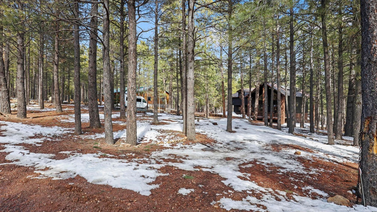 Photo of Outdoor in Heber