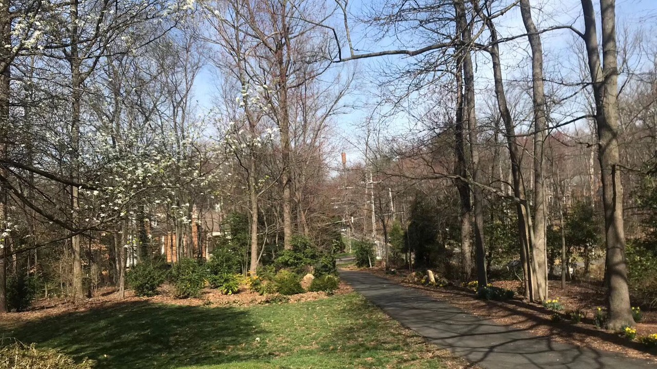 Photo of Others in McLean