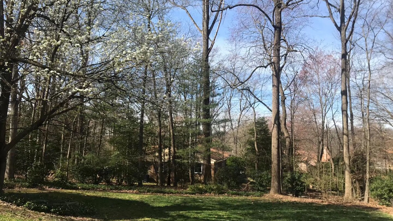 Photo of Others in McLean