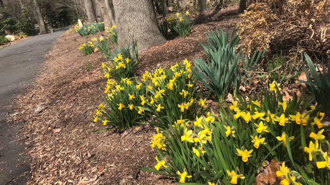 Photo of Outdoor in McLean