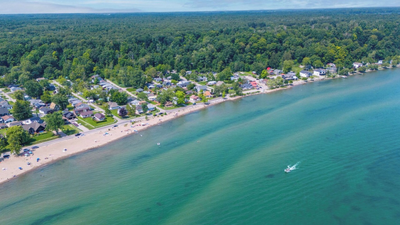 Photo of Others in Turkey Point