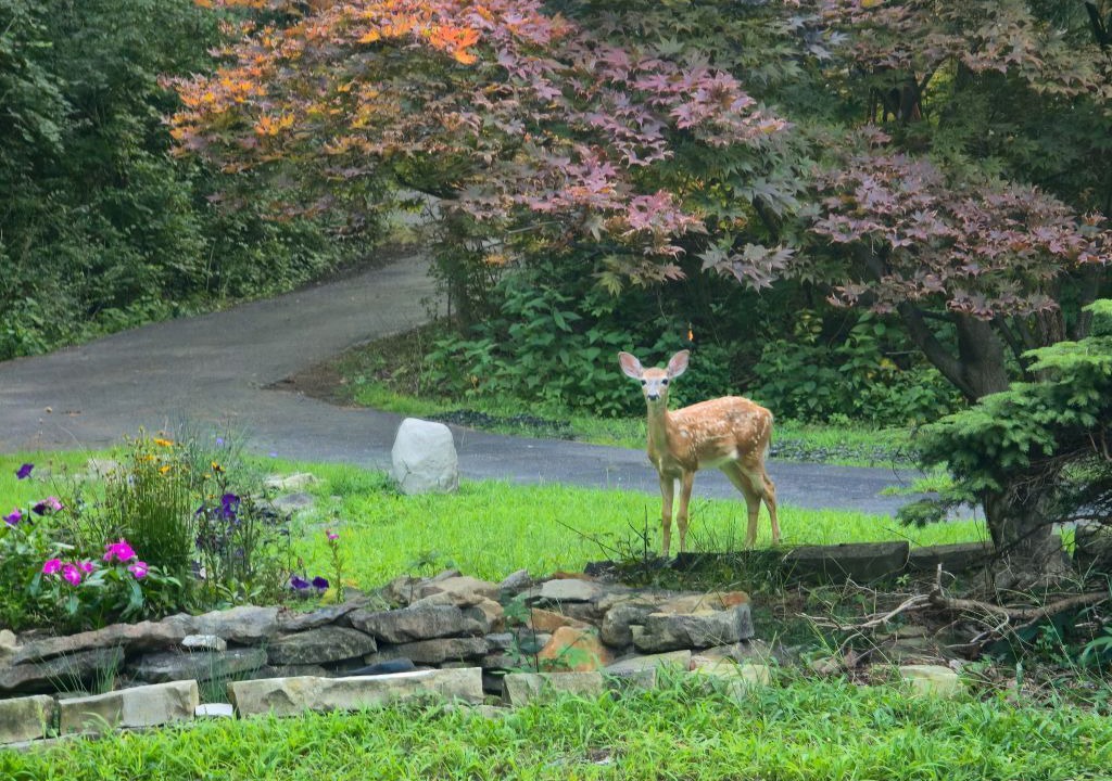Photo of Outdoor in Westerville