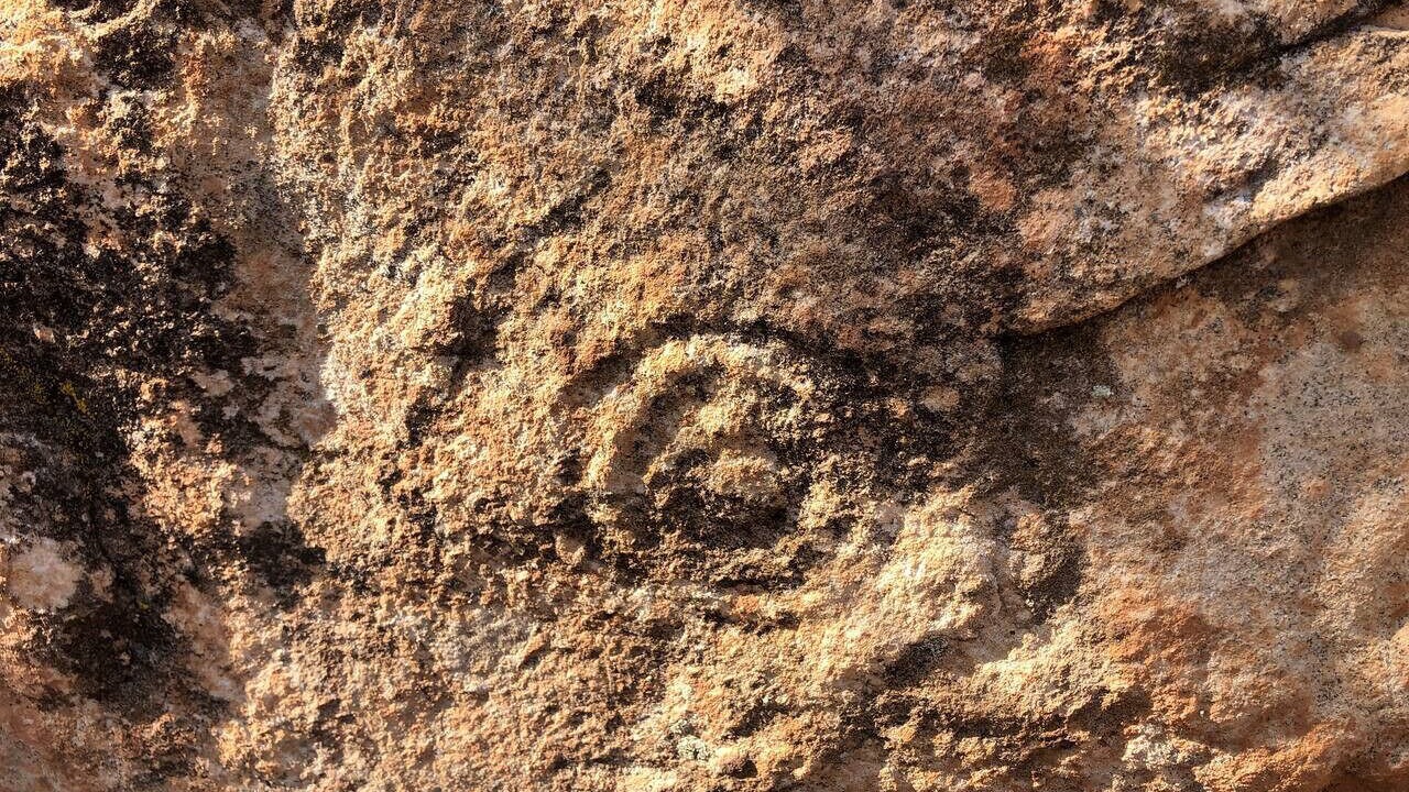 Photo of Others in Apple Valley