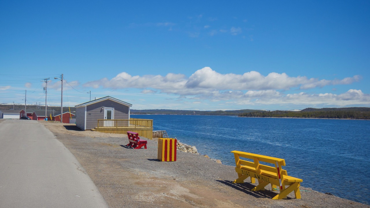 Photo of Others in Port Saunders
