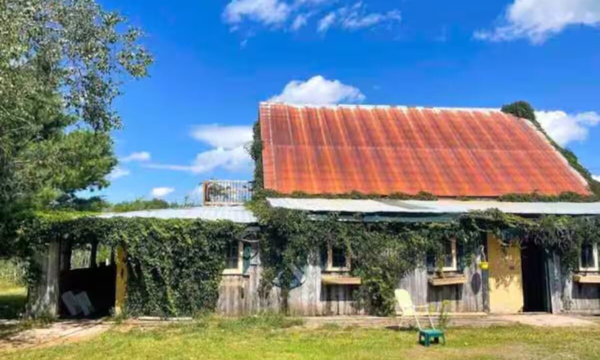 Photo of Outdoor in West Hants