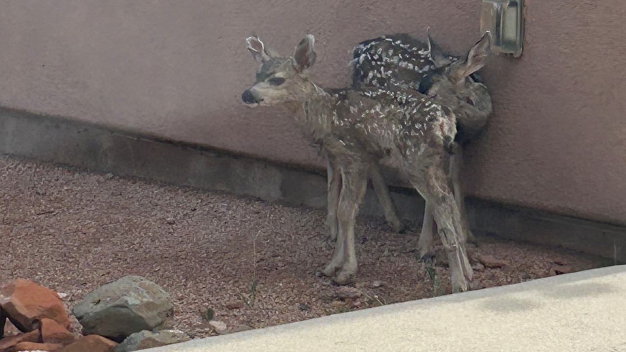 Photo of Outdoor in Oak Creek