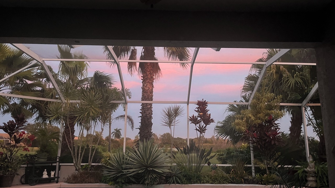 Photo of Outdoor in Sarasota