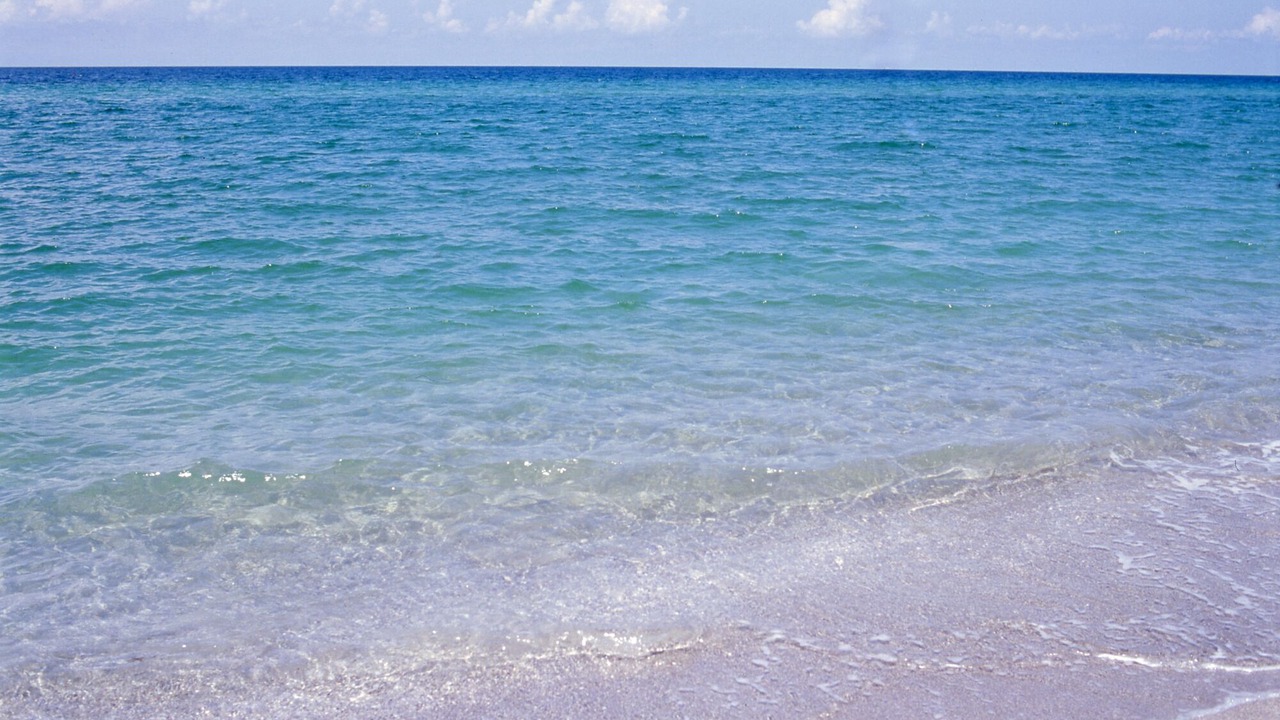 Photo of Others in Golden Beach