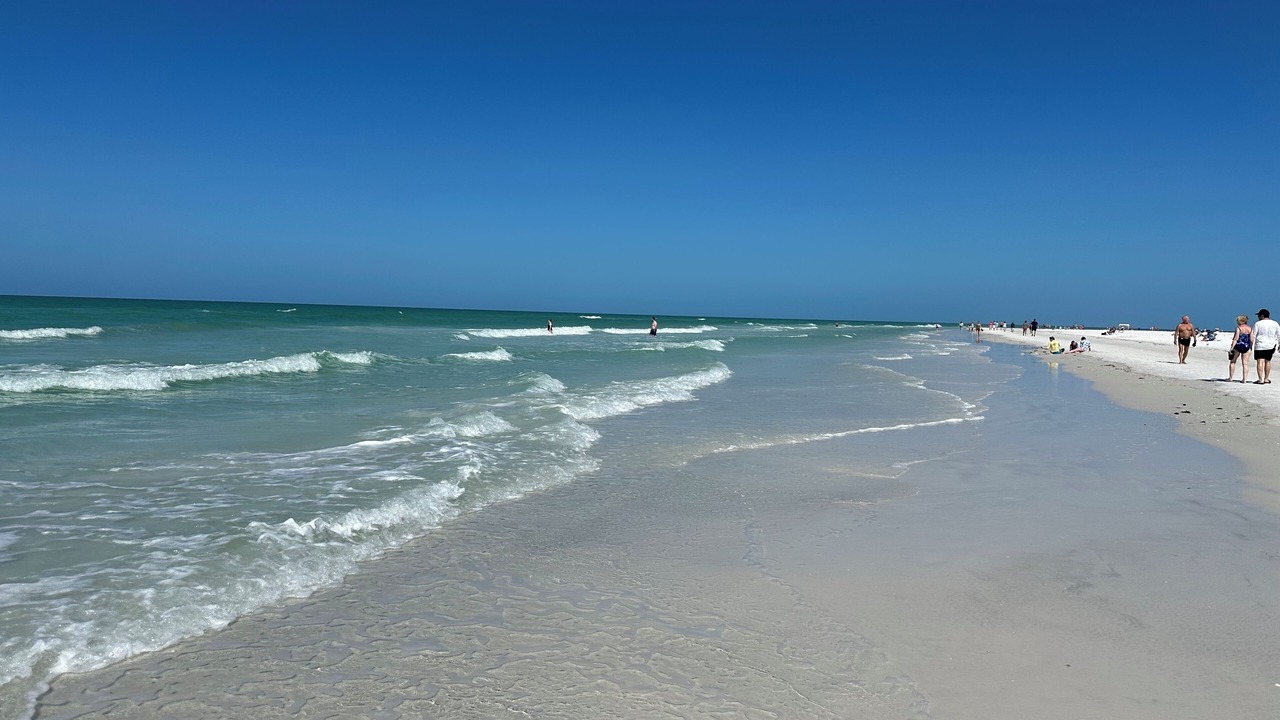 Photo of Others in Siesta Key
