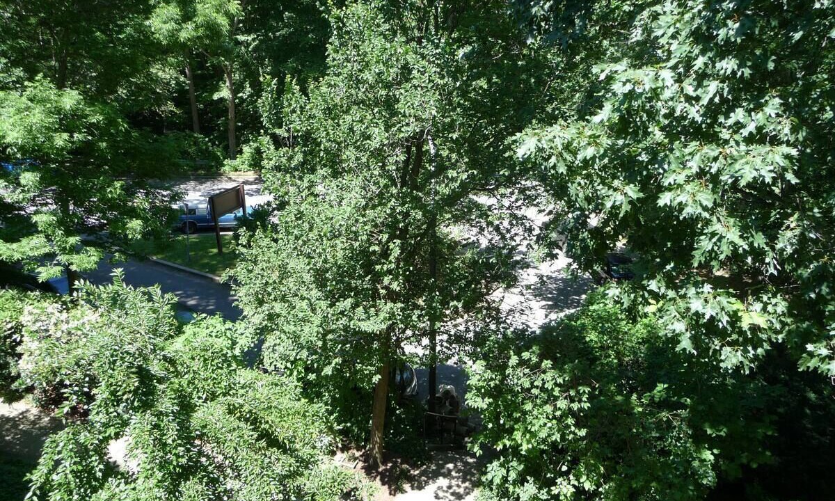 Photo of Outdoor in Mount Pleasant