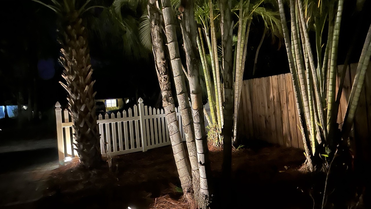 Photo of Outdoor in Siesta Key
