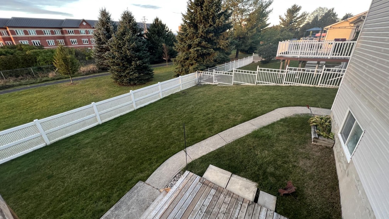 Photo of Others in Kingston