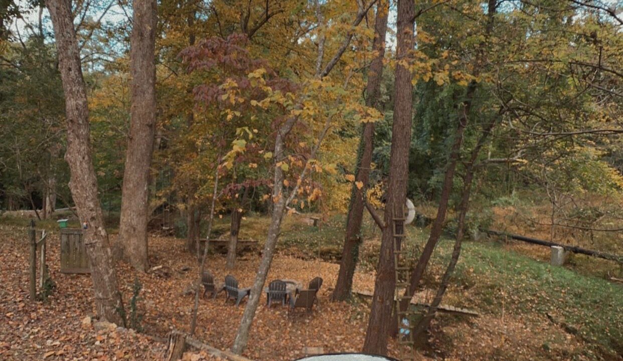 Photo of Outdoor in Wake Forest