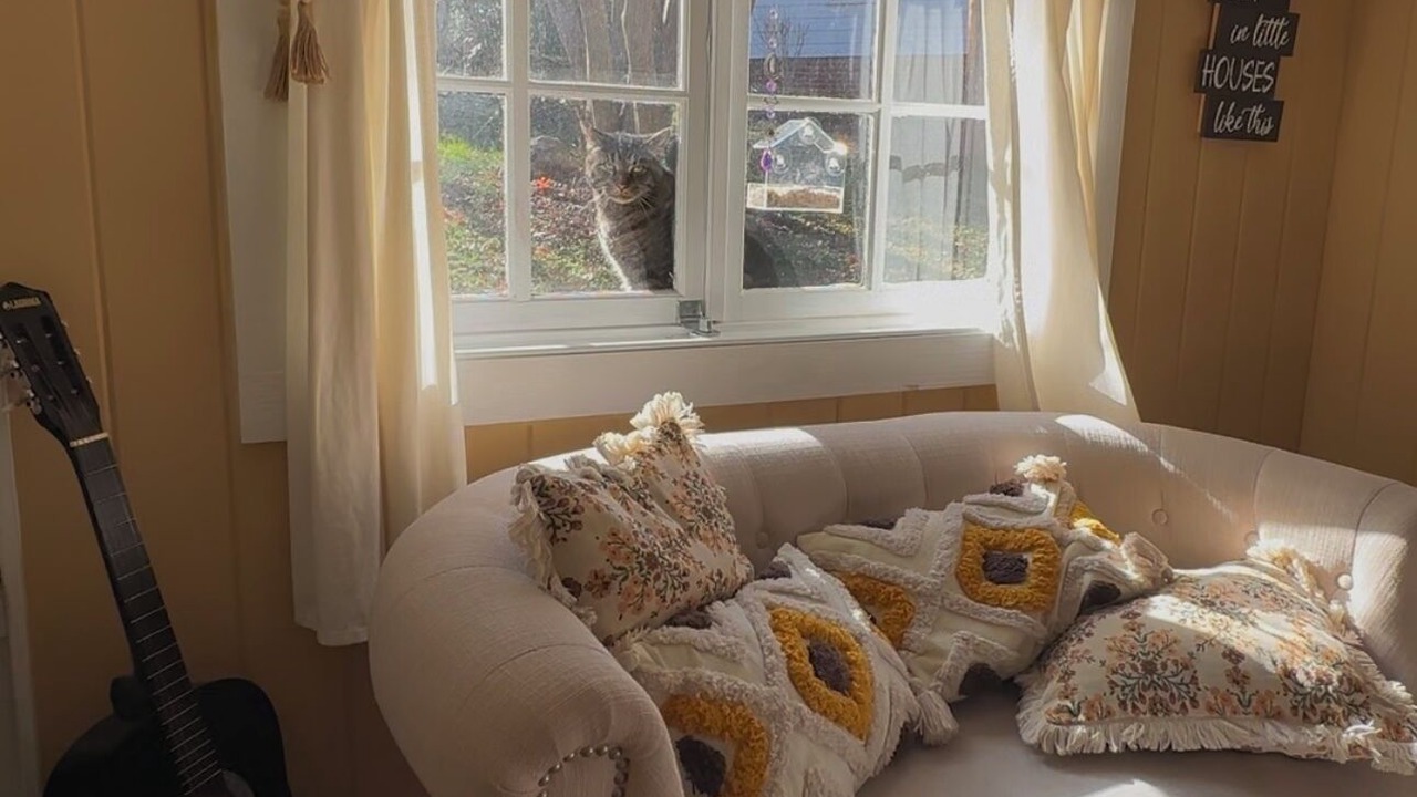 Photo of Livingroom in Wake Forest