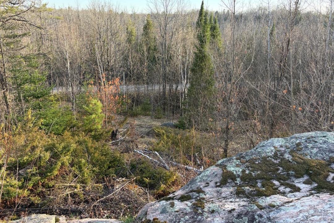 Photo of Others in Whitewater Region