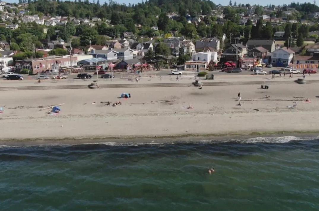 Photo of Others in Alki