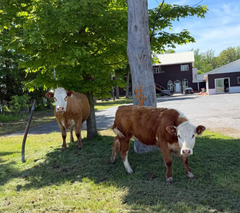 Photo of Others in Varennes