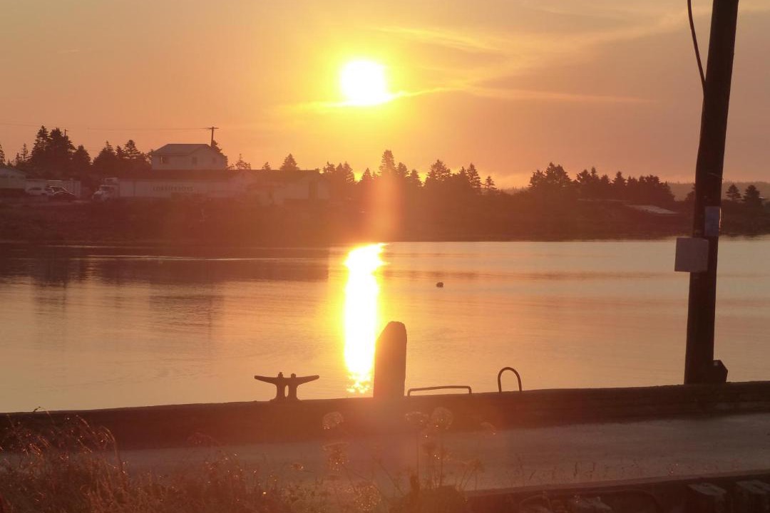 Photo of Others in Shag Harbour