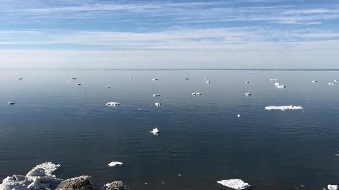 Photo of Others in Matane