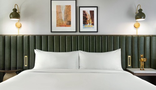 Standard Room, 1 King Bed with Sofa bed (Mobility/Hearing Access, Roll-In Shwr)