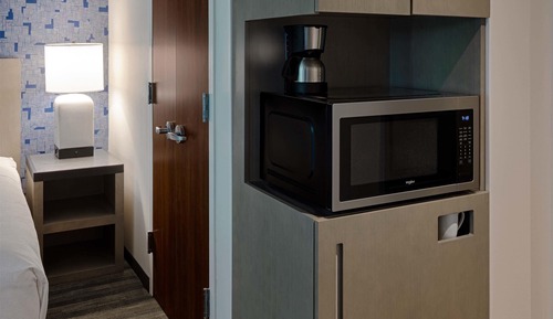Room, 1 King Bed, Accessible (Roll-In Shower)