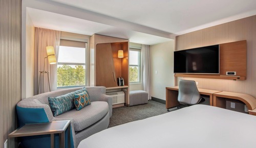 Room, 1 King Bed with Sofa bed, Accessible Bathtub