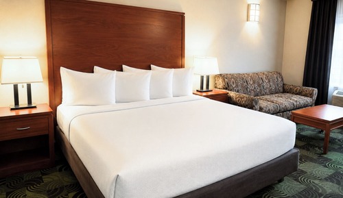 Standard Room, 1 King Bed with Sofa bed