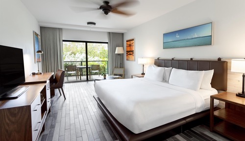 Room, 1 King Bed (Mangrove)