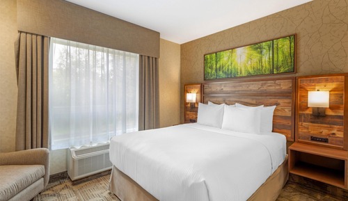 Suite, 1 Queen Bed, Non Smoking, Refrigerator & Microwave (with Sofabed)