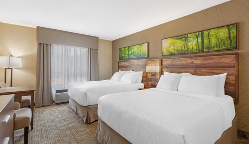 Standard Room, 2 Queen Beds, Non Smoking, Refrigerator & Microwave (Pet Friendly)