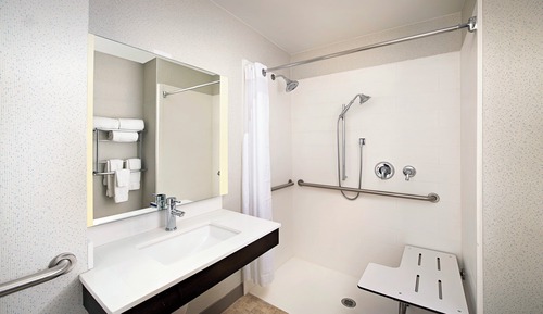 Standard Room, 1 King Bed, Accessible (Roll-In Shower)