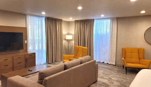 Suite, 1 King Bed, Non Smoking, Jetted Tub (Living Room;with Sofabed, View)