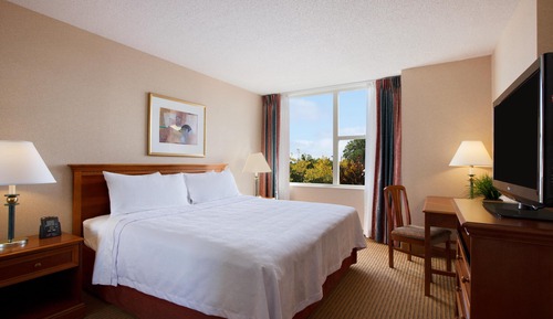 Suite, 1 King Bed