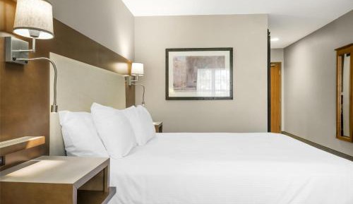 Queen Room with Roll-In Shower - Mobility Access