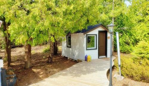 Buddha Bing Forest Cabin #2 With Shared External Bathroom
