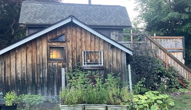 Willow Creek Cabin Secluded Guesthouse, Wooded lot